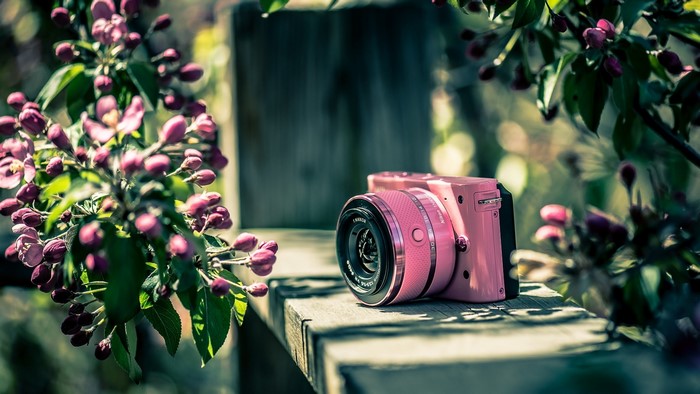 Pink camera on a wooden surface with flowers