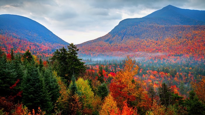 Autumn foliage in the White Mountains of New Hampshire, USA
