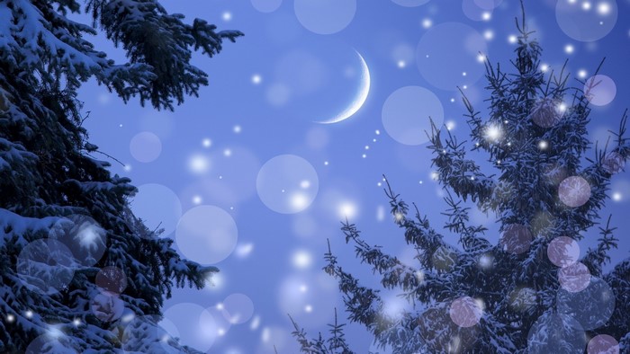 Winter night sky with crescent moon and snow-covered trees