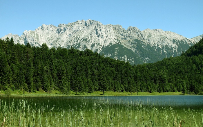 Lake with forest and mountains