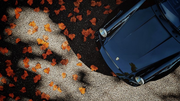 Porsche 911 on asphalt with fallen leaves