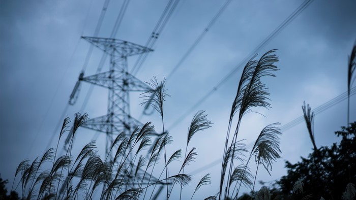 Power lines and reeds against a cloudy sky