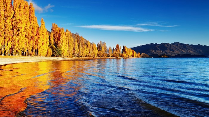Lake Wanaka with autumn trees and mountains