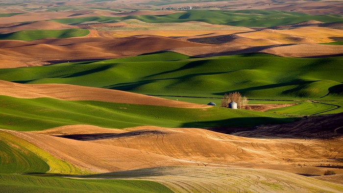 Rolling hills of Palouse, Washington with silos