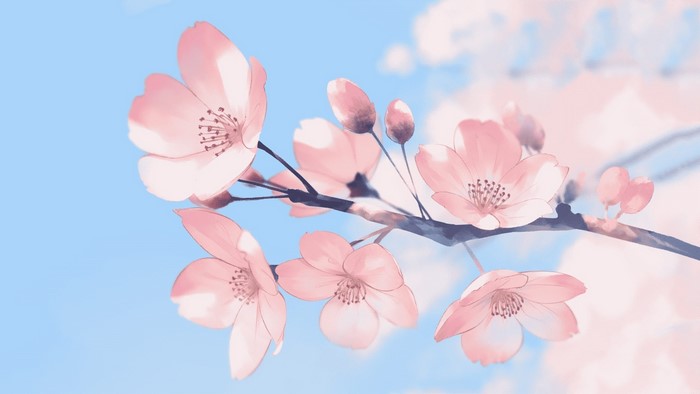 Pink cherry blossoms on a branch against a blue sky