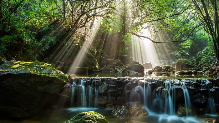 Sun rays in a forest with a waterfall and rocks