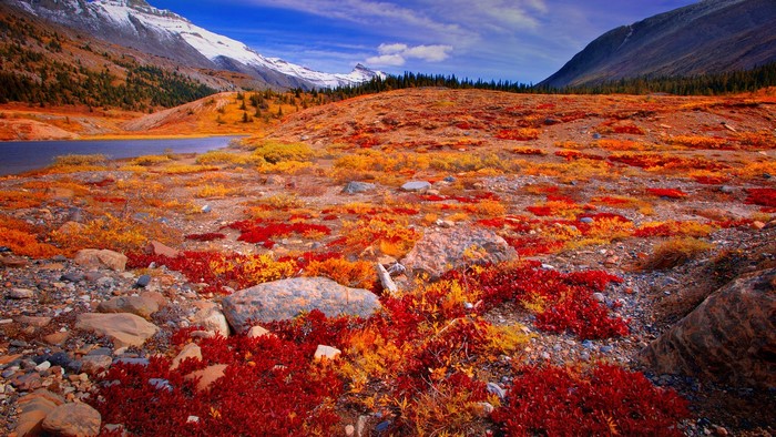 Autumn landscape with mountains and lake in Jasper National Park