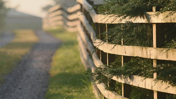 Wooden fence with green branches and a gravel path