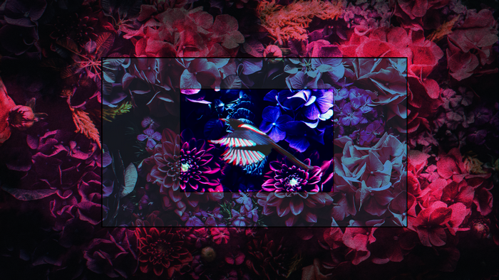 Bird with chromatic aberration over flowers