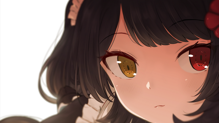 Inui Toko from Nijisanji with Heterochromia