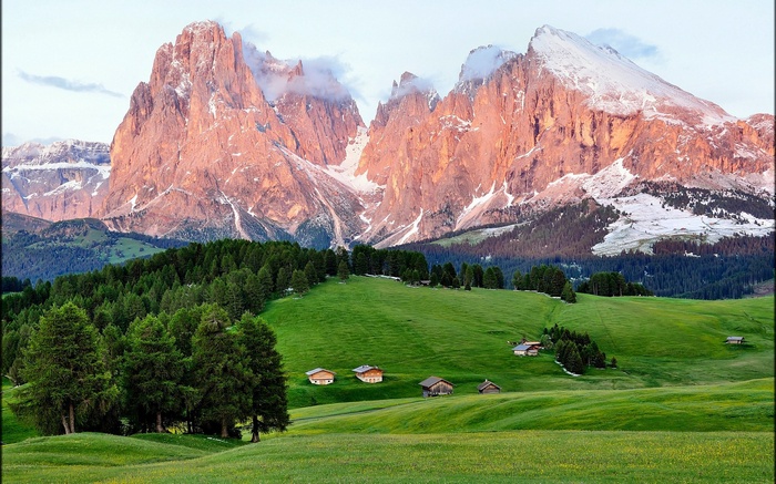 Mountain landscape with chalets and pine forest