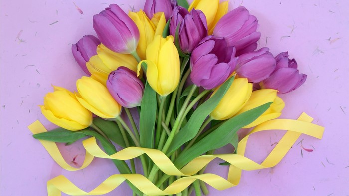 Bouquet of yellow and purple tulips with yellow ribbon