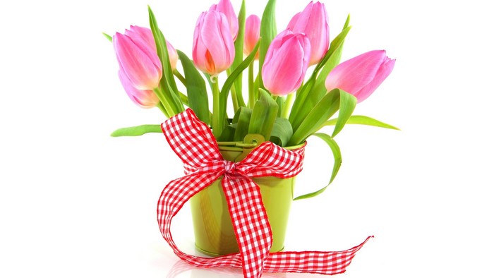 Pink tulips in a green bucket with a red ribbon