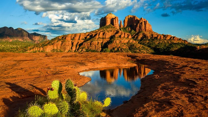 Cathedral Rock and cactus in Sedona, Arizona landscape