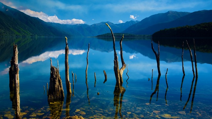 Lake Monowai with dead trees and mountains, New Zealand