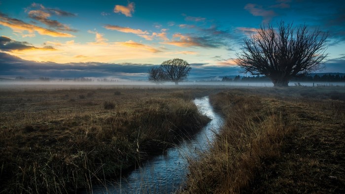 Misty field with stream and trees at sunrise