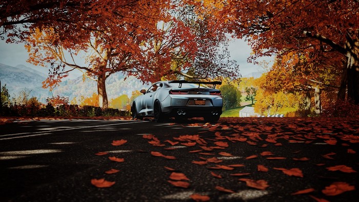 Chevrolet Camaro ZL1 1LE in Forza Horizon 4 during fall