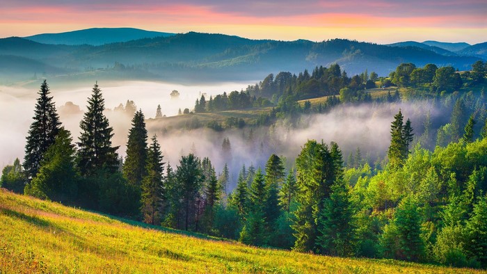 Misty Carpathian Mountains at Sunrise