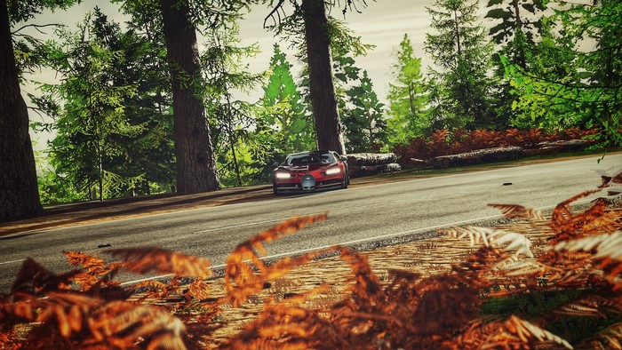 Bugatti Chiron driving on a road in a forest