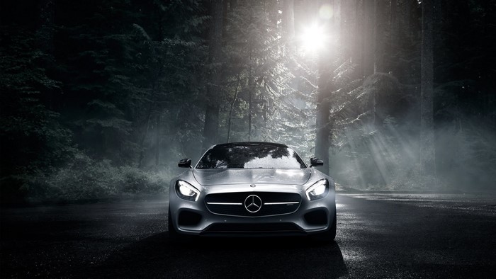 Silver Mercedes Benz car in a foggy forest