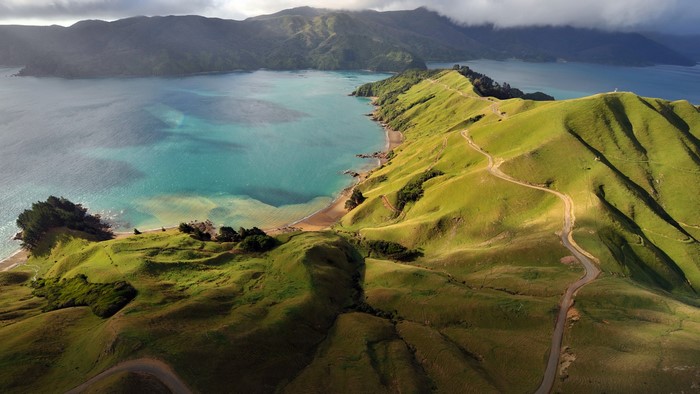 Aerial view of green hills and turquoise water in Marlborough, New Zealand