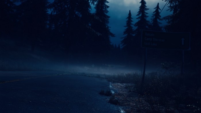 Signpost on a dark, foggy road in Days Gone