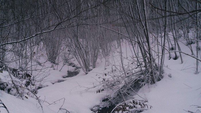 Snowy forest with a stream and bare branches