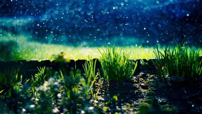 Raindrops falling on green grass and soil