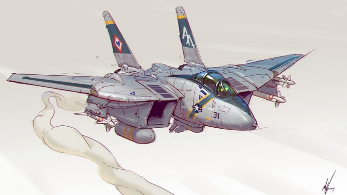 F-14 Tomcat military aircraft in flight