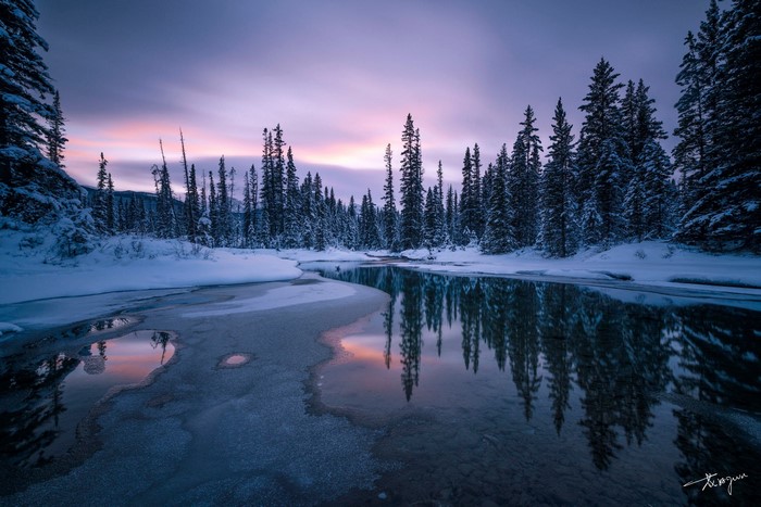 Winter forest with frozen river at sunset