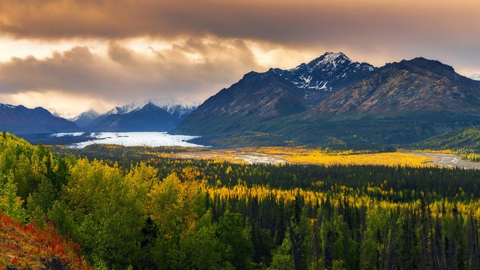 Matanuska Glacier, Alaska Landscape with Mountains and Forest