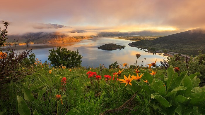 Spring wildflowers overlook a misty lake and mountains in Utah