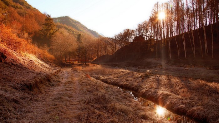 Sunlight streams through trees onto a frosty landscape with a stream