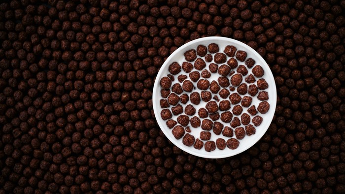 Bowl of chocolate cereal with milk
