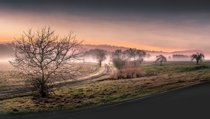 Misty landscape with trees and a road at sunrise