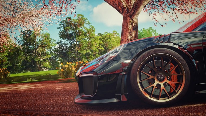 Black Porsche 911 GT2 RS in a park
