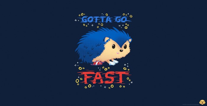 Sonic the Hedgehog artwork with text