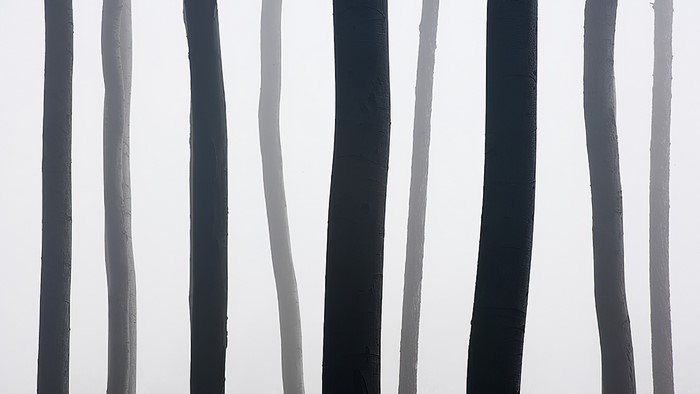 Minimalist abstract pattern of vertical dark and light stripes
