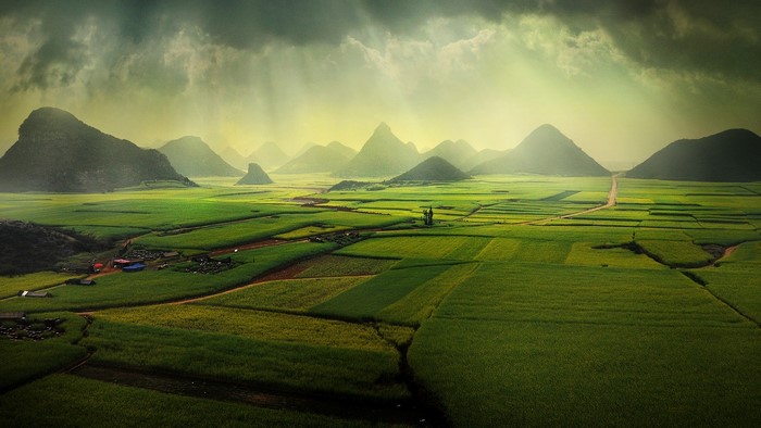 Green fields and karst mountains in China