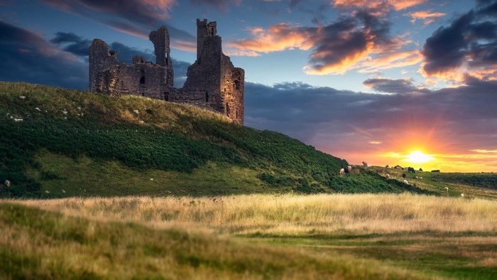 Ardvreck Castle ruins on a grassy hill at sunset with sheep