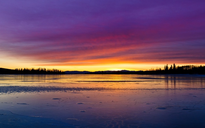 Sunset over a frozen lake with silhouetted trees