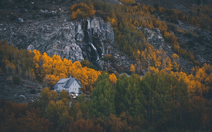 House nestled in autumn trees with waterfall
