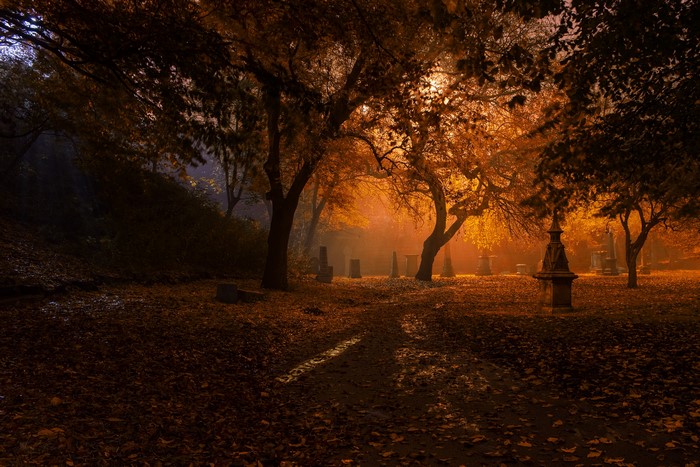 Autumn graveyard with trees and fog