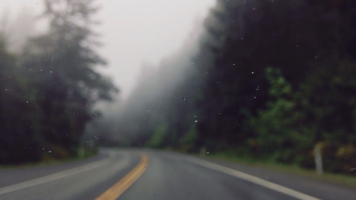 Road through a foggy forest with water drops