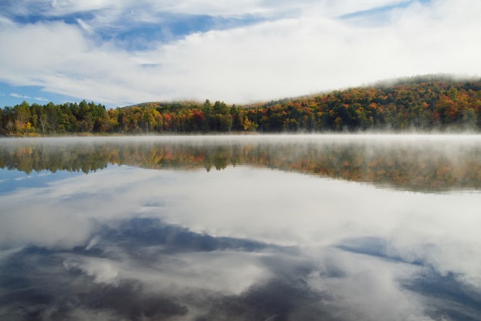 Autumn forest reflected in a misty lake