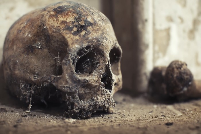 An old, weathered human skull and bones