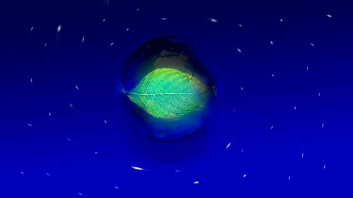 Leaf in a bubble on blue background