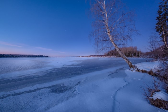 Frozen lake and birch tree at twilight