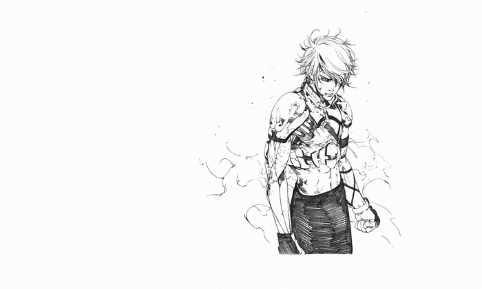 Levius from Netflix TV Series