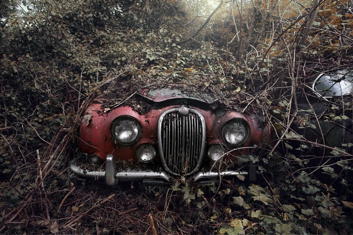 Abandoned red vintage car overgrown with plants